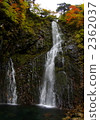 Fukushima ken Shitaki 2362037
