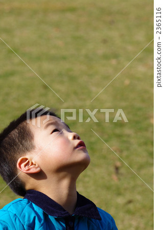 仰視 仰望 仰角 2365116