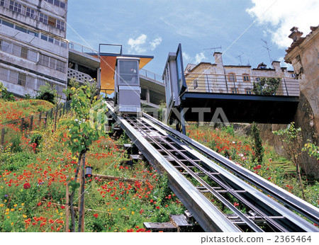 Coimbra city 2365464