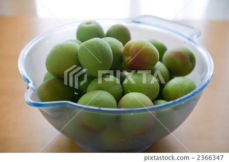 Minami Takane 2366347