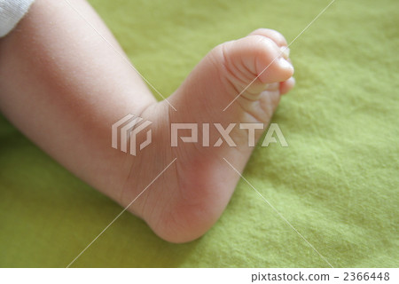 腳 英尺 爪子 2366448