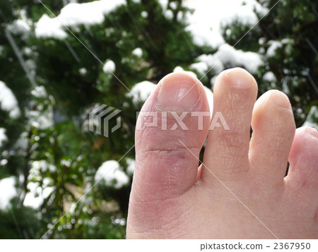 Snowfall and snow Snowfall and snow 2367950