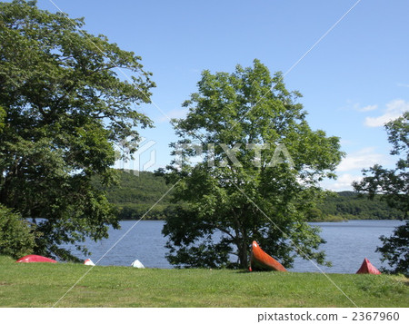 釧路濕地 -  Toroji湖 2367960