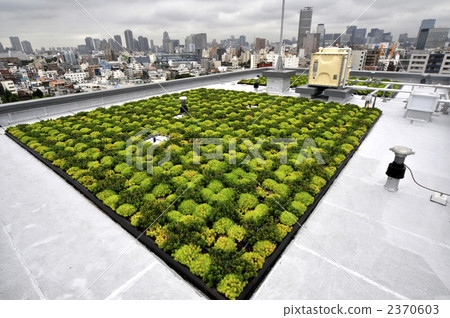 Rooftop garden 2370603