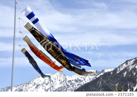 Carp streamer 2371185