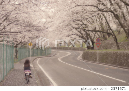 花道 插花 花藝 2371671