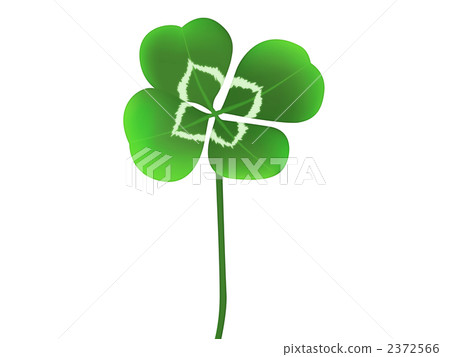 Clover  2372566