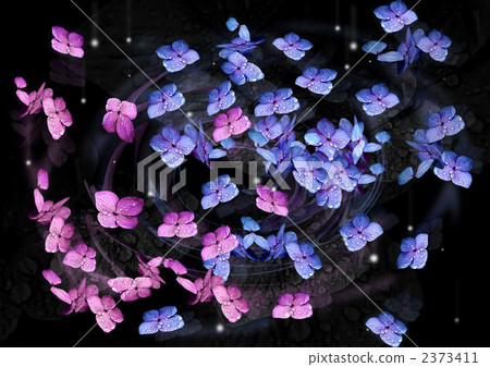 Yugen繡球花 2373411