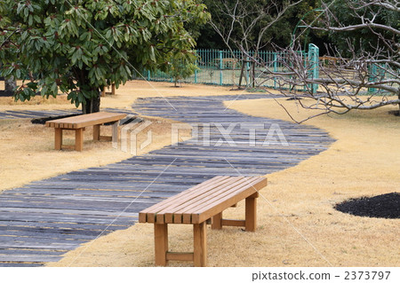 Trail and bench Trail and bench 2373797