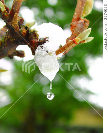 融雪 融解 露滴 2374038