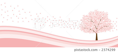 Cherry blossom image Cherry blossom image 2374299