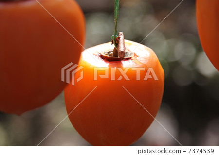 Brilliant orange color 2374539