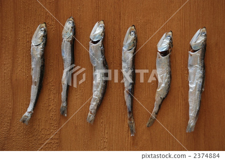 日本鳀 干沙丁魚 乾貨 2374884