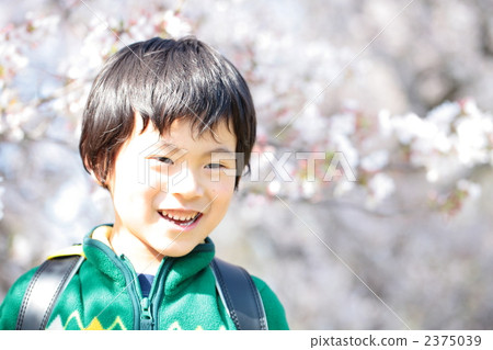 Cherry blossoms and freshman entrance freshman boy Cherry blossoms and freshman entrance freshman boy 2375039