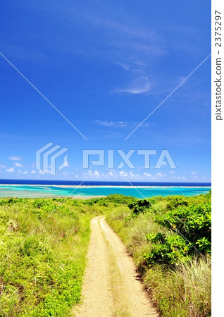 石垣島北部農場公路(2) 石垣島北部農場公路(2) 2375297
