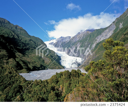 Fox Glacier Westland National Park Fox Glacier Westland National Park 2375424
