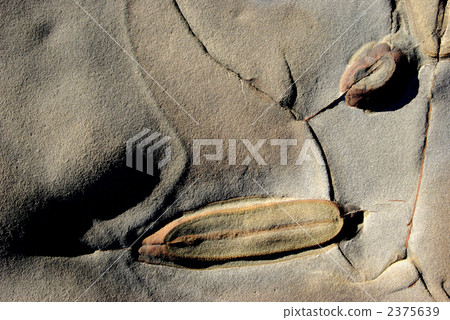 日南沿海岩石 2375639