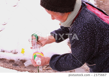 鹿藏起來 2375667