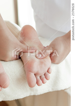Beauty 2376028