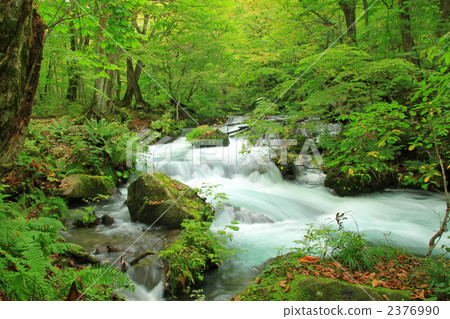 青森Oiru Irise山間溪流 青森Oiru Irise山間溪流 2376990