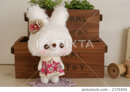 Usagi在兔子裡 2376998