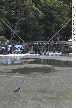 冬季Genkyonen 2377278