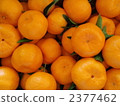 ponkan orange, citrus fruits, food 2377462