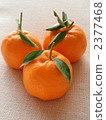 ponkan orange, citrus fruits, food 2377468