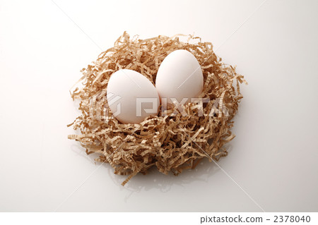 Raw egg Raw egg 2378040