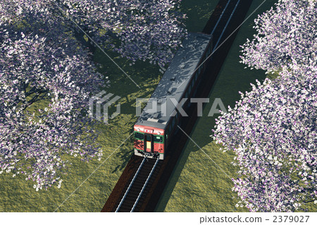 Spring bound train · Sakura tunnel 2379027