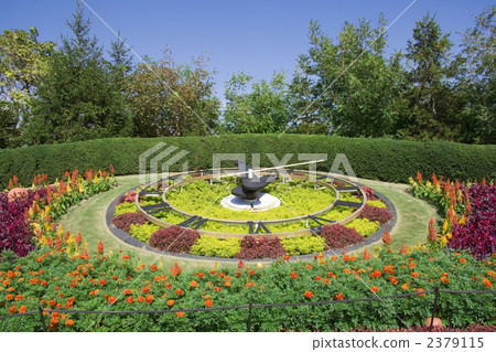 Flower clock 2379115