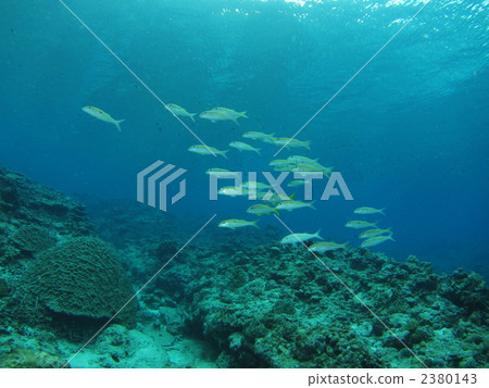 Monzuki Akahi Meji 2380143