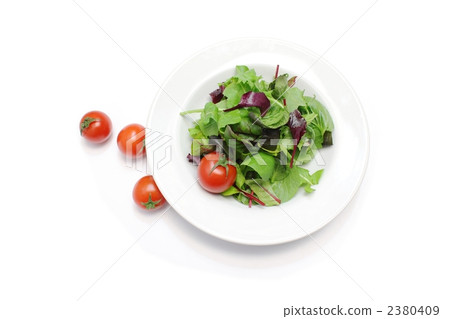 嬰兒葉沙拉 2380409