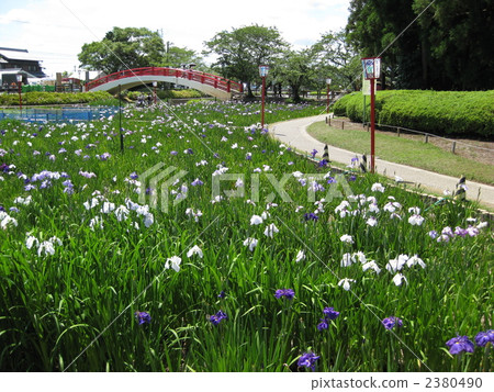 Kamo Shobuen Garden 2380490