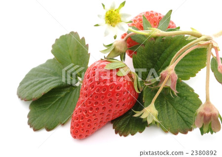 fruit, fruits, strawberries 2380892