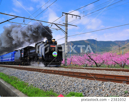 SL在桃子燃燒中運行 2381032