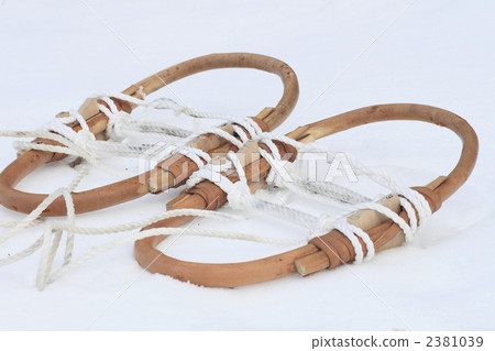 雪兔 雪兔 2381039