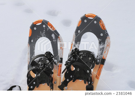 snowshoe, snowshoes, snow shoe 2381046