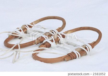 雪兔 雪兔 2381052