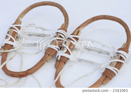 雪兔 雪兔 2381065