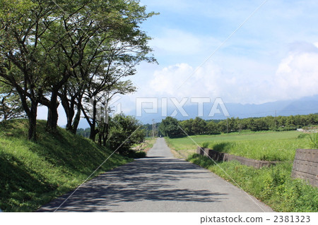 直路 草坪 鄉間小路 2381323