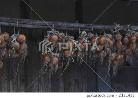 bulb onion, onion, hang 2381435
