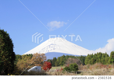 富士山 秋天 秋 2381516
