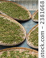 Drying the harvested tea leaves with no leaves 2381668