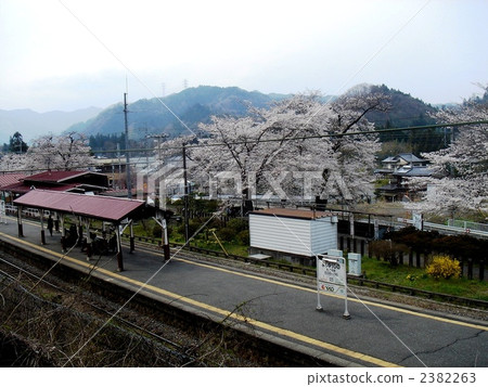 Spring of Buddhist Hino station Spring of Buddhist Hino station 2382263