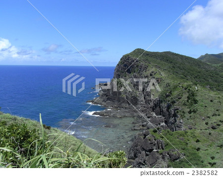 在一隻鳥的嘴周圍 2382582