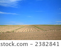 horizon, biei, hokkaido 2382841