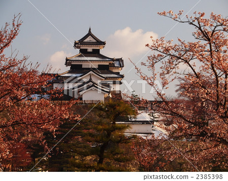 Shirakawa Komine城堡，共同主演雪和櫻花 2385398