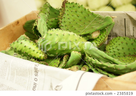 仙人掌 南美式烹飪 食物 2385819