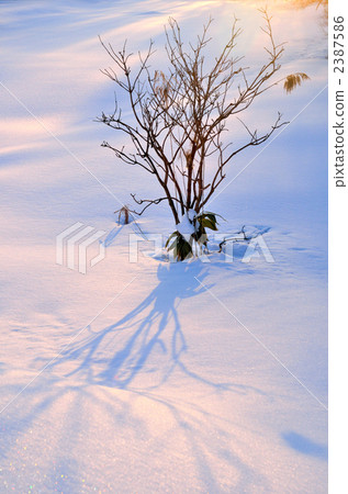 evening scene, snow scene, Winter landscape 2387586